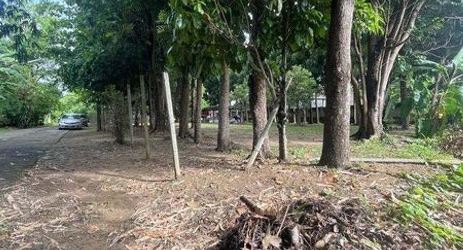 ขาย ที่ดิน ใน เมืองเชียงใหม่, เชียงใหม่