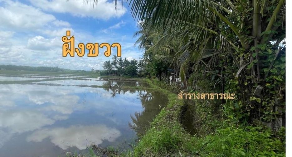 Terreno en venta en Doi Saket, Chiang Mai