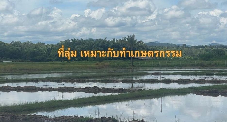Terreno en venta en Doi Saket, Chiang Mai