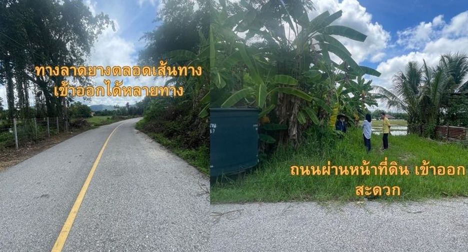 Terreno en venta en Doi Saket, Chiang Mai