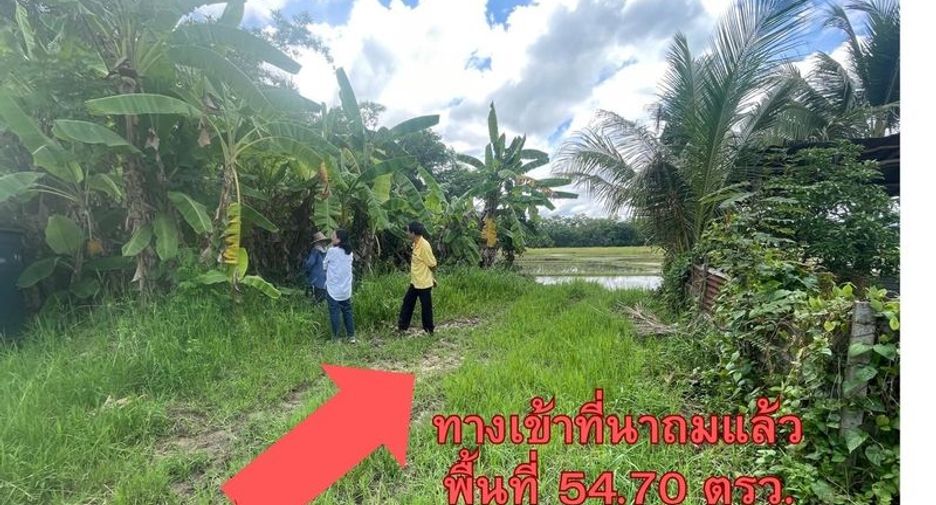 Terreno en venta en Doi Saket, Chiang Mai