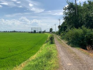 For sale land in Sena, Phra Nakhon Si Ayutthaya