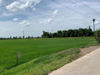 For sale land in Sena, Phra Nakhon Si Ayutthaya