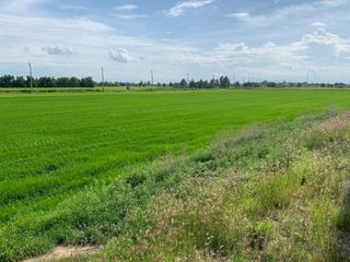 For sale land in Sena, Phra Nakhon Si Ayutthaya