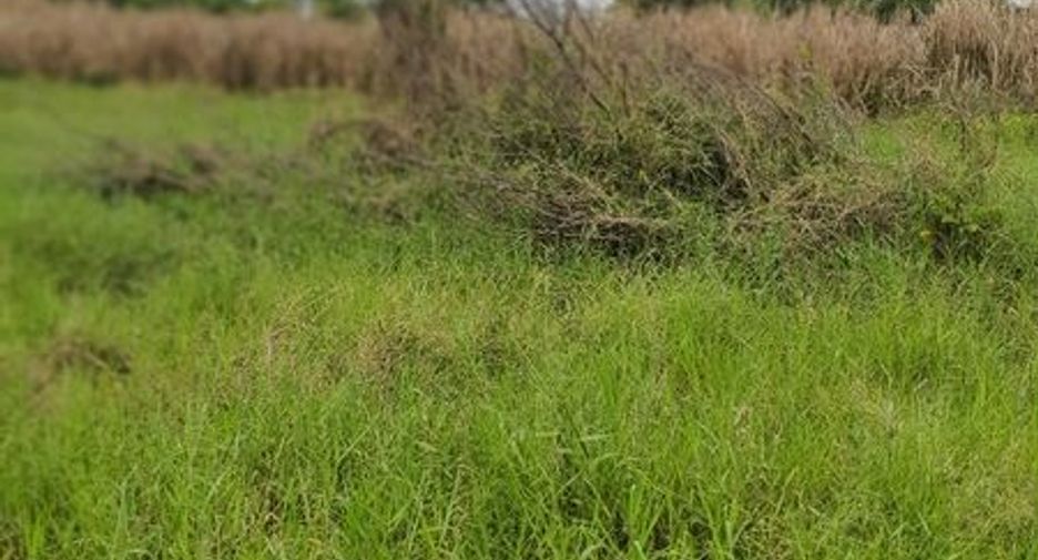 Terreno en venta en Nong Chok, Bangkok