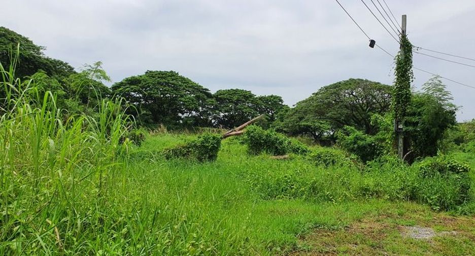 Terreno en venta en Nong Chok, Bangkok