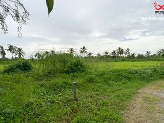 For sale land in Nakhon Chai Si, Nakhon Pathom
