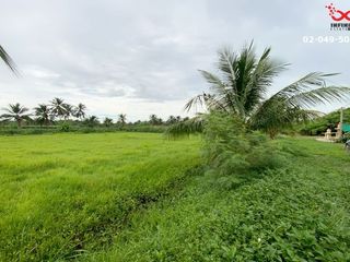 For sale land in Nakhon Chai Si, Nakhon Pathom