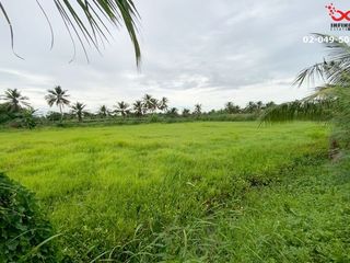 For sale land in Nakhon Chai Si, Nakhon Pathom