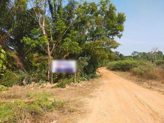 For sale land in Sanom, Surin