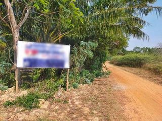 For sale land in Sanom, Surin