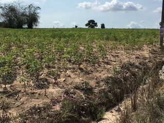For sale land in Pluak Daeng, Rayong