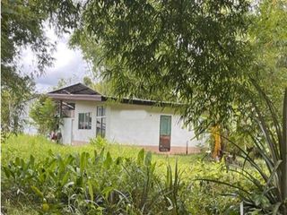 For sale land in Loeng Nok Tha, Yasothon