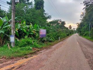 For sale land in Phon Sawan, Nakhon Phanom