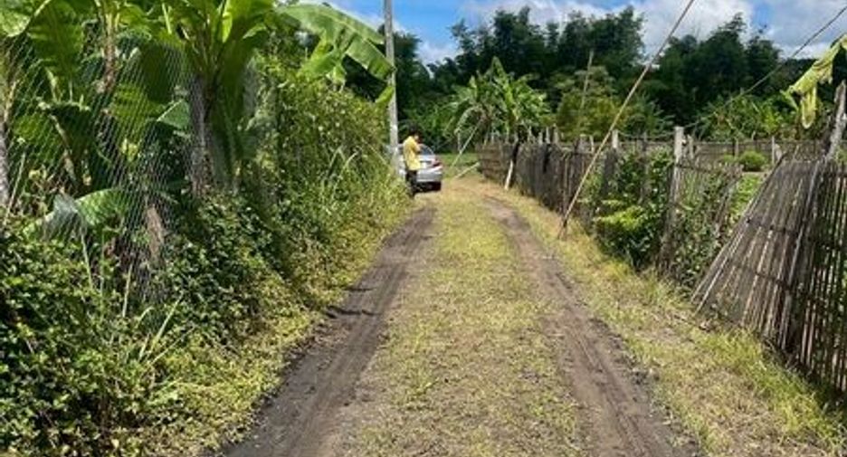 Terreno en venta en Doi Saket, Chiang Mai