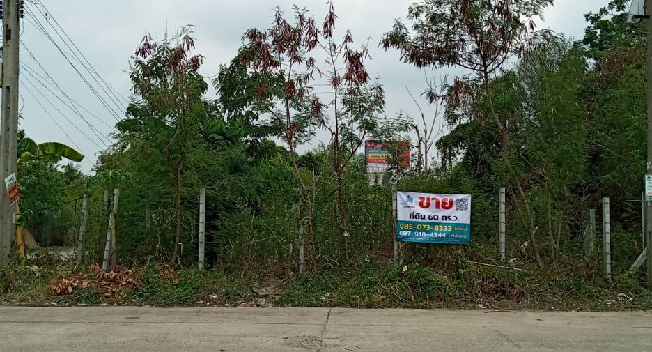 For sale land in Bang Bua Thong, Nonthaburi