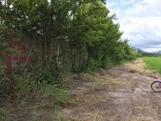 For sale land in Ban Bueng, Chonburi