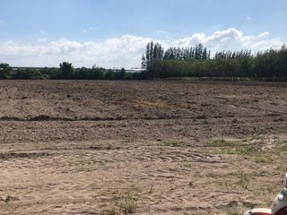 For sale land in Ban Bueng, Chonburi
