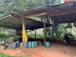 For sale land in Mueang Trang, Trang