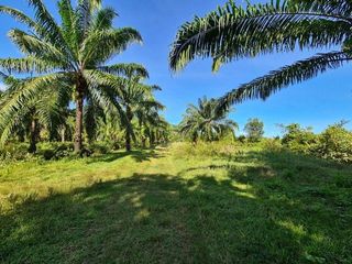 For sale 1 Beds house in Phrom Khiri, Nakhon Si Thammarat