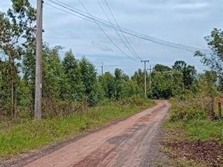 For sale land in Yang Sisurat, Maha Sarakham