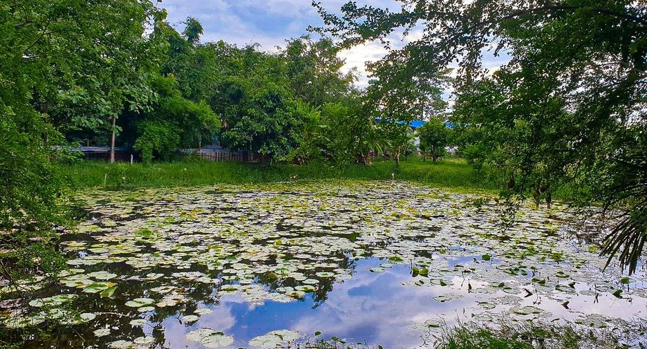 Grundstück zum Kauf in Lat Lum Kaeo, Pathum Thani