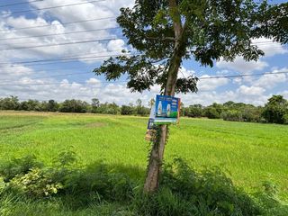 For sale land in Kamalasai, Kalasin
