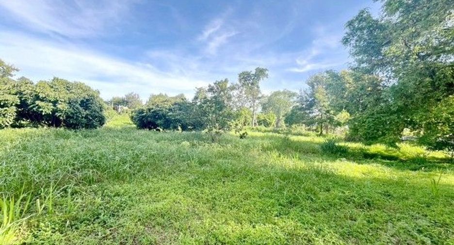 出售 土地 在 Si Racha, Chon Buri