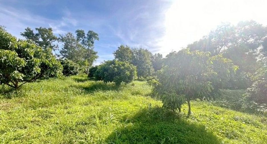 出售 土地 在 Si Racha, Chon Buri