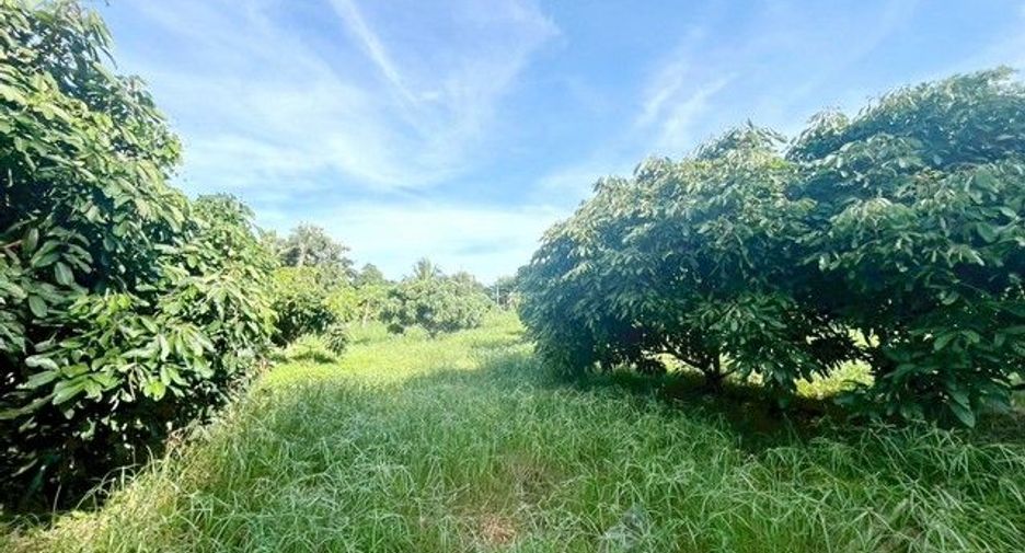 出售 土地 在 Si Racha, Chon Buri