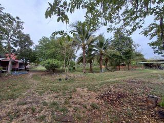 For sale land in Phatthana Nikhom, Lopburi