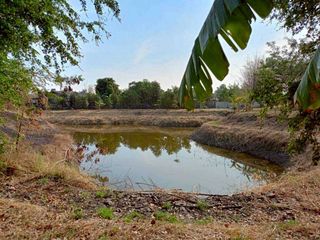 For sale land in Phatthana Nikhom, Lopburi