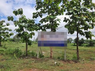 For sale land in Mueang Bung Kan, Bueng Kan