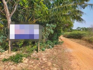 For sale land in Sanom, Surin
