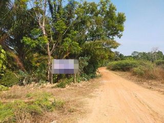 For sale land in Sanom, Surin