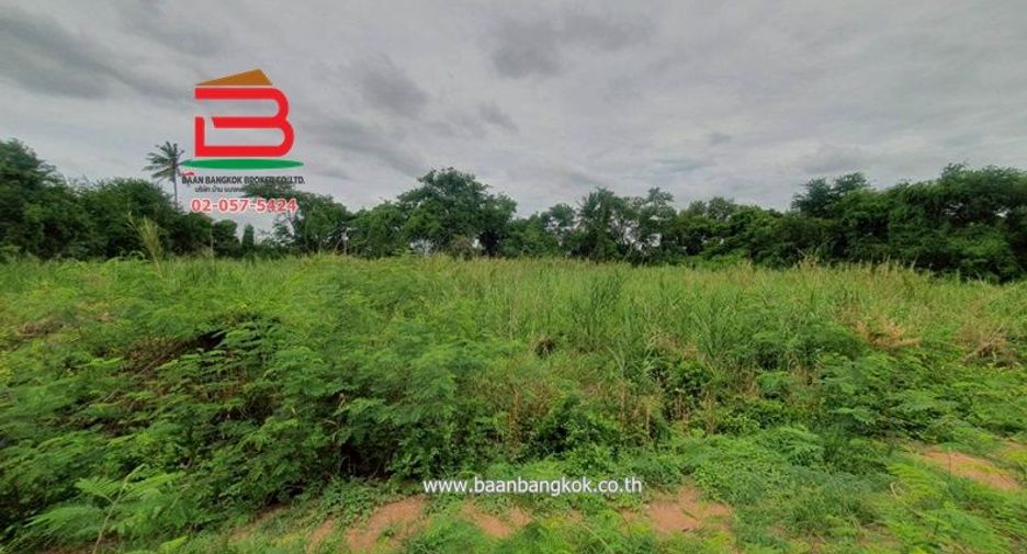 Grundstück zum Kauf in Lat Lum Kaeo, Pathum Thani