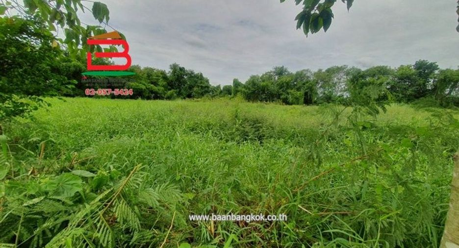 Grundstück zum Kauf in Lat Lum Kaeo, Pathum Thani