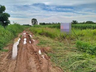 For sale land in Nong Bua Daeng, Chaiyaphum