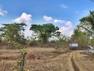 For sale land in Sanom, Surin