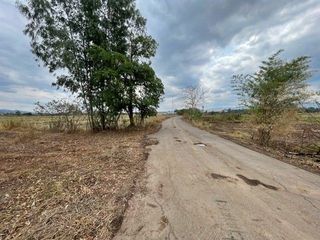 For sale land in Mueang Phayao, Phayao