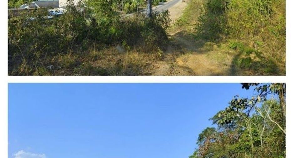 For sale land in Khlong Thom, Krabi