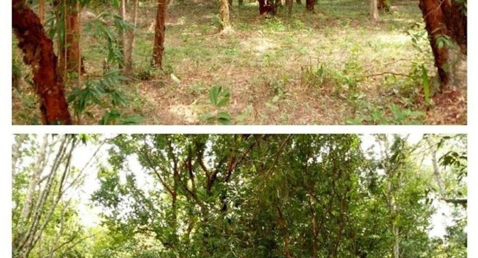 For sale land in Khlong Thom, Krabi