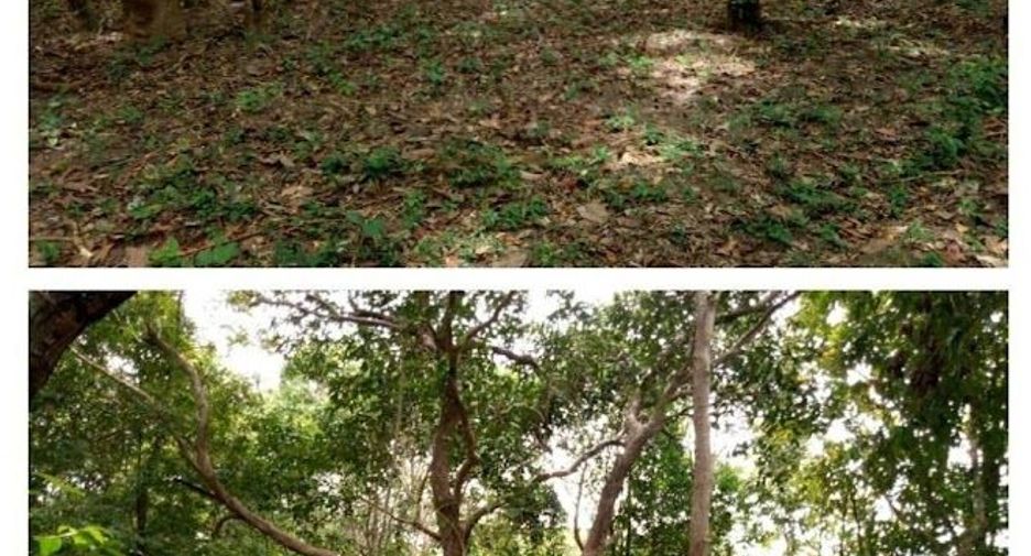 For sale land in Khlong Thom, Krabi