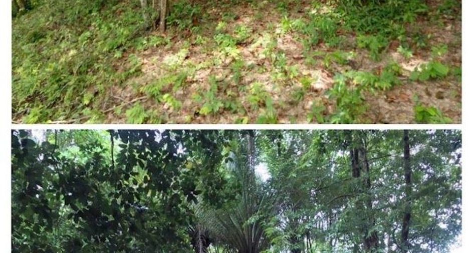 For sale land in Khlong Thom, Krabi