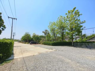 For sale land in Doi Lo, Chiang Mai