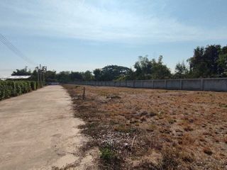 For sale land in Doi Lo, Chiang Mai