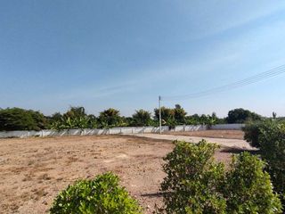 For sale land in Doi Lo, Chiang Mai