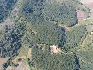 For sale land in Mae Chan, Chiang Rai