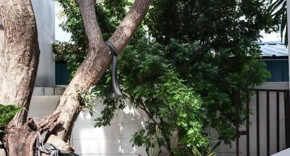 Haus zum Kauf mit 10 Zimmer in Sathon, Bangkok