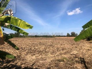 For sale land in Nong Phai, Phetchabun